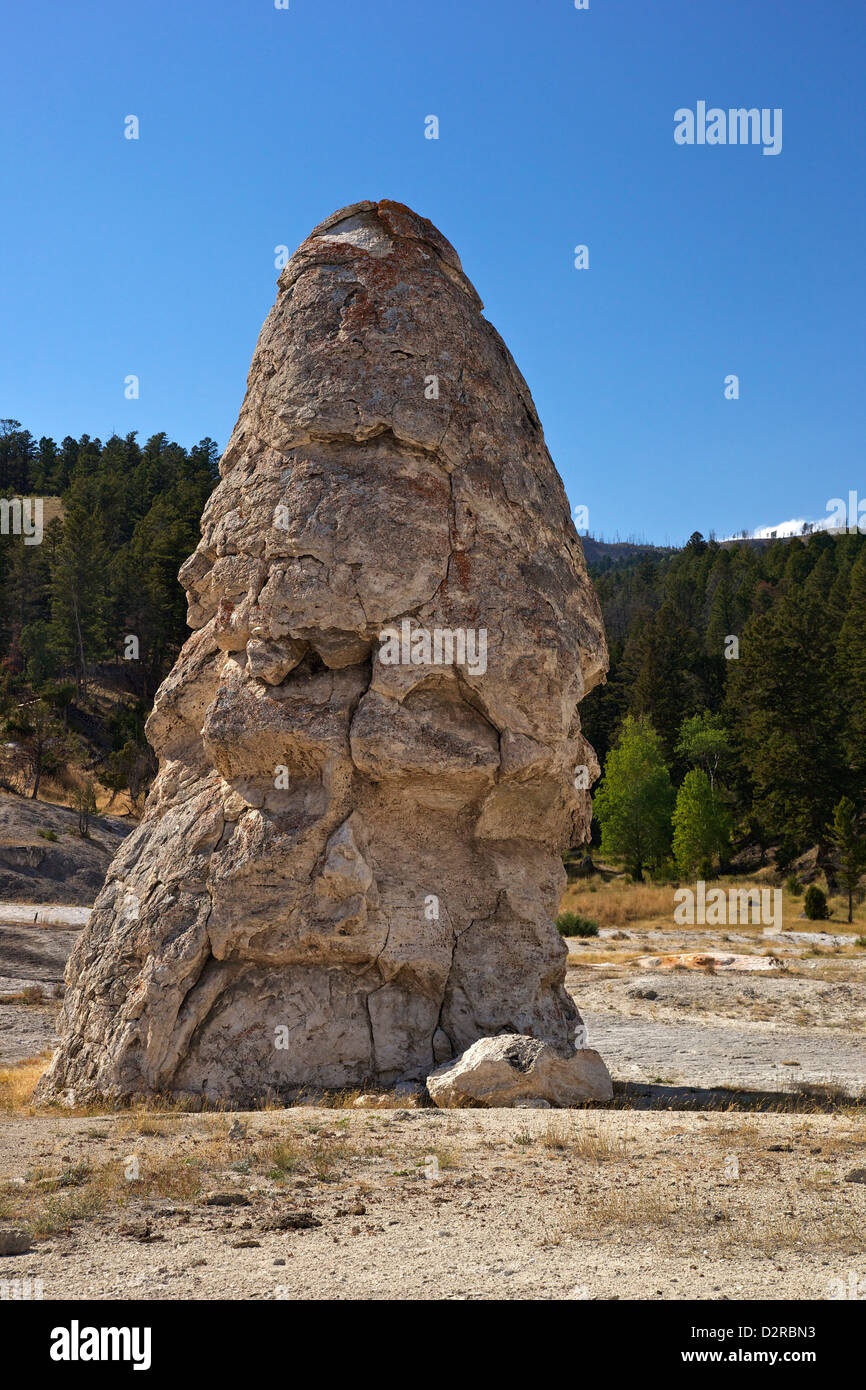 Liberty Cap, a dormant hot spring cone, Mammoth Hot Springs, Yellowstone  National Park, Wyoming, USA Stock Photo - Alamy