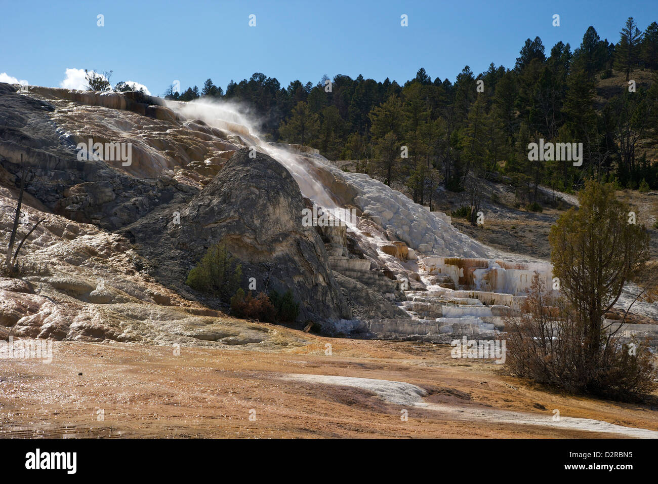 Devil's Thumb and Palette Spring, Mammoth Hot Springs, Yellowstone National Park, Wyoming, USA Stock Photo