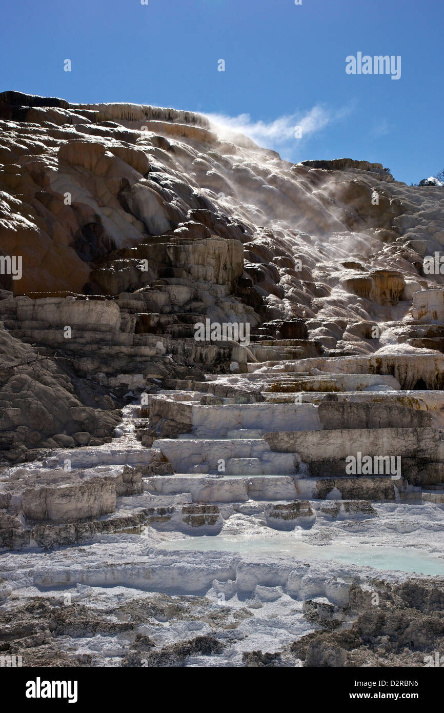 Palette Spring, Mammoth Hot Springs, Yellowstone National Park, Wyoming, USA Stock Photo
