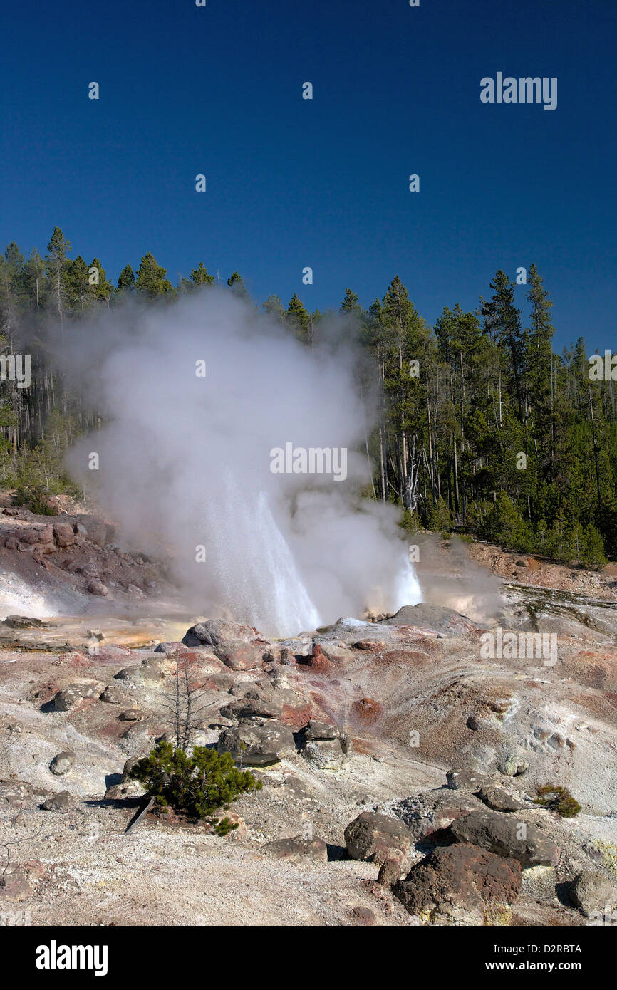Minor eruption from Steamboat Geyser - Minor Eruption From Steamboat Geyser Norris Geyser Basin Yellowstone D2RBTA 