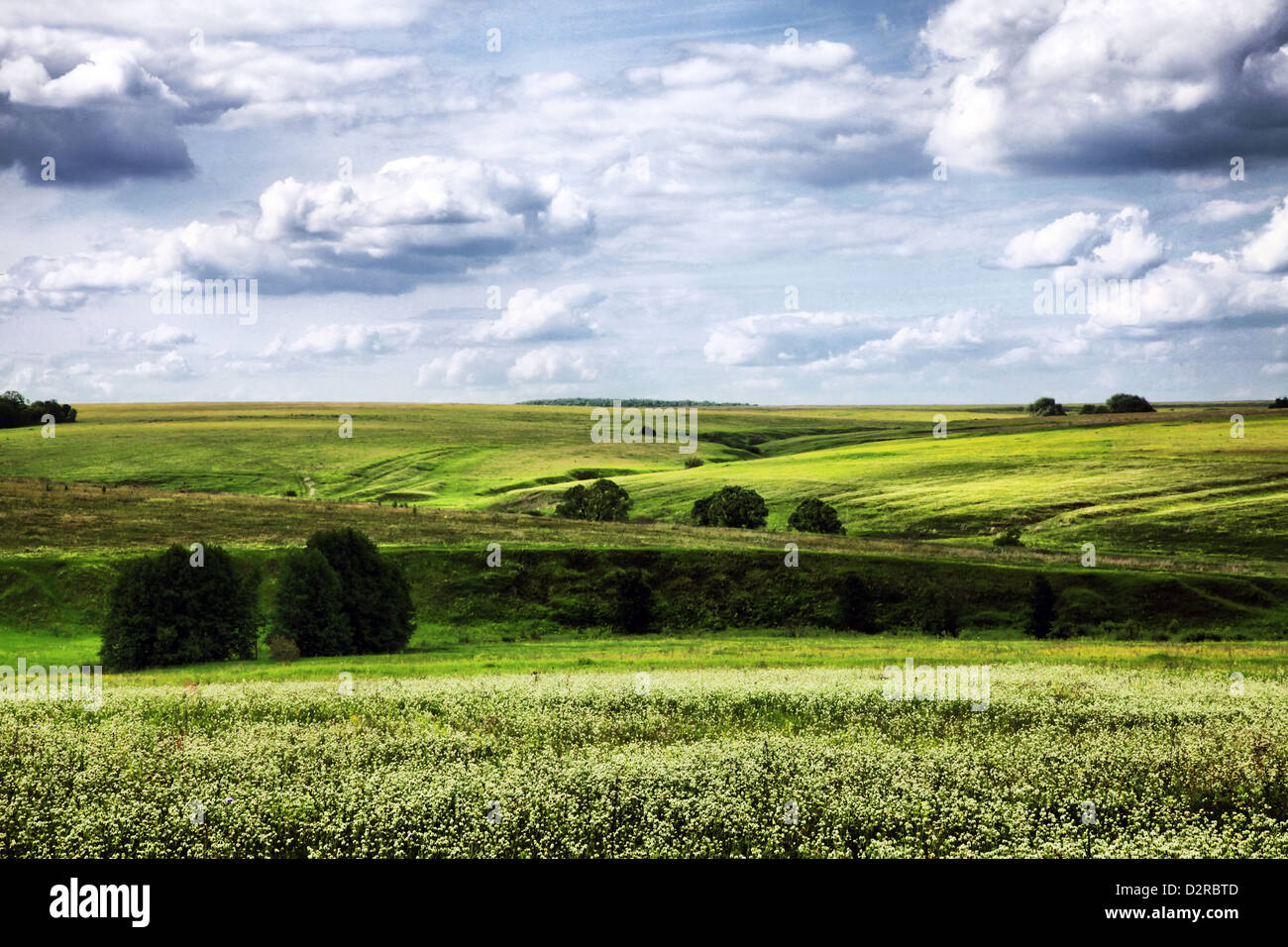 Sunny summer day and green field and blue sky Stock Photo - Alamy