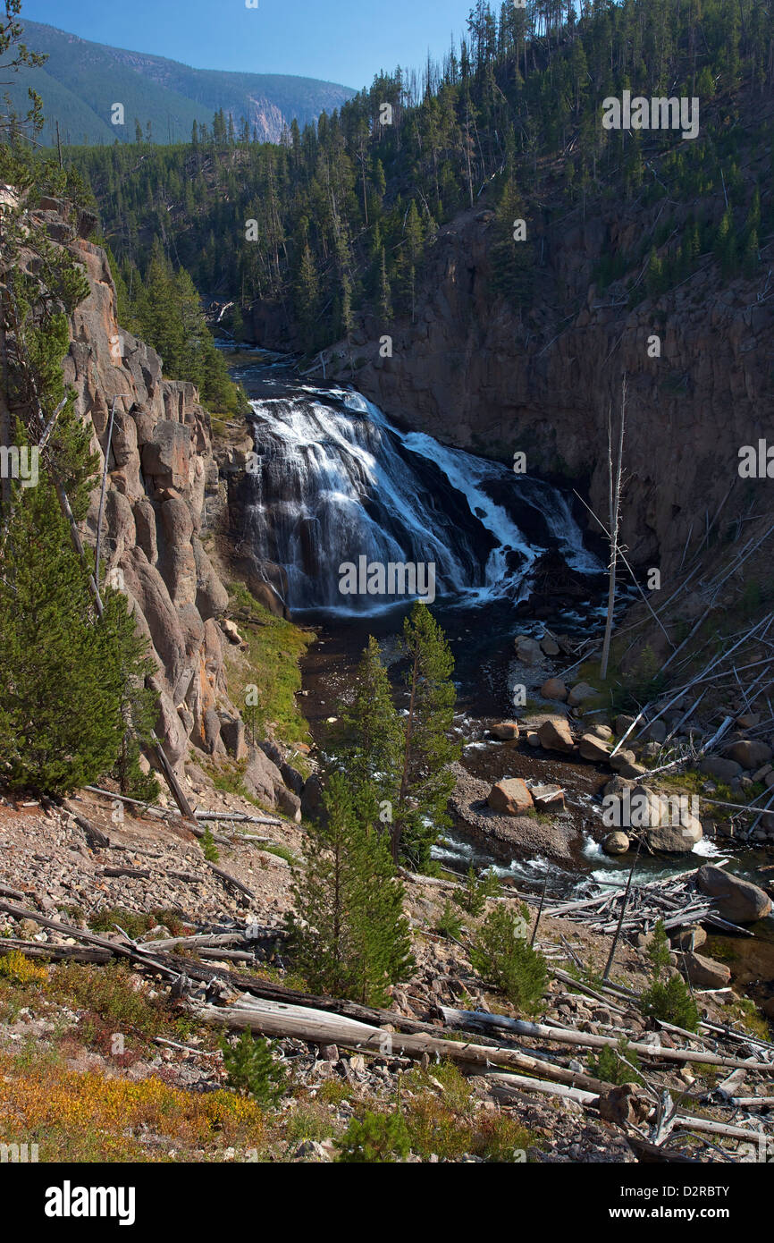 Gibbon Falls, Yellowstone National Park, Wyoming, UNESCO World Heritage Site, Wyoming, United States of America, North America Stock Photo