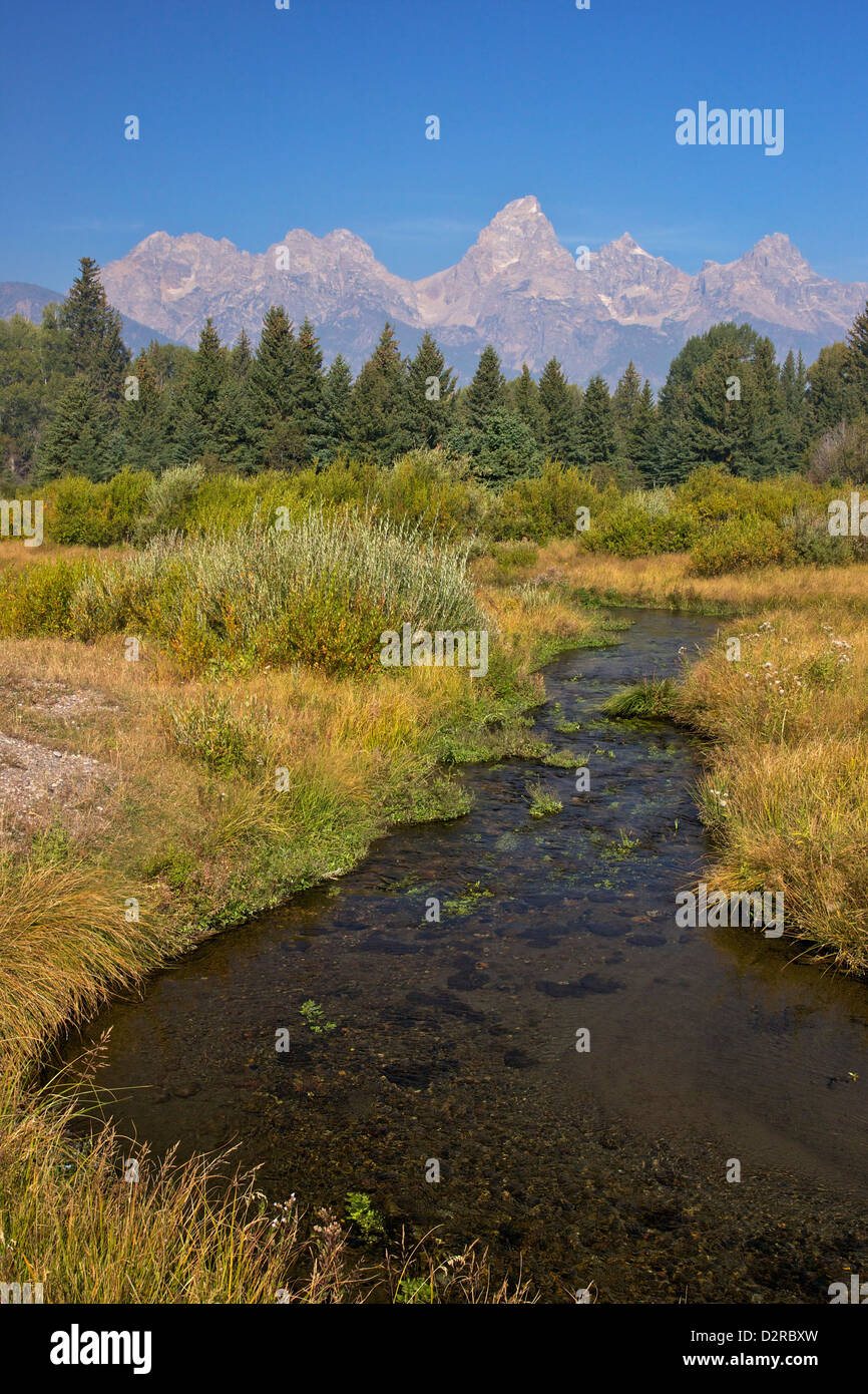Snake River at the Schwabacher Landing, Grand Teton National Park, Wyoming, United States of America, North America Stock Photo