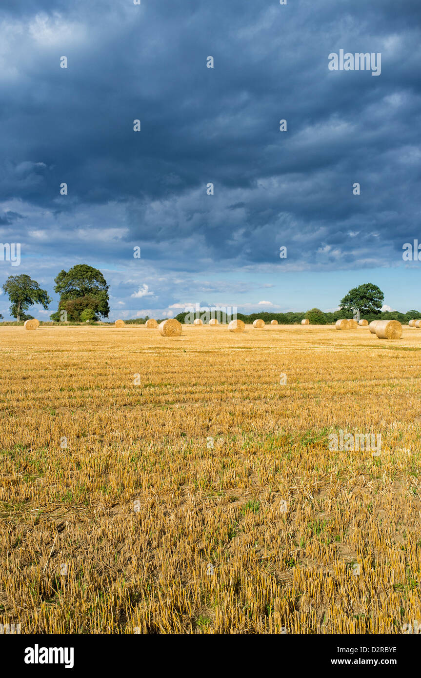 Circular Straw Bales in Field with Dark Storm Clouds at Hickling Norfolk UK Stock Photo