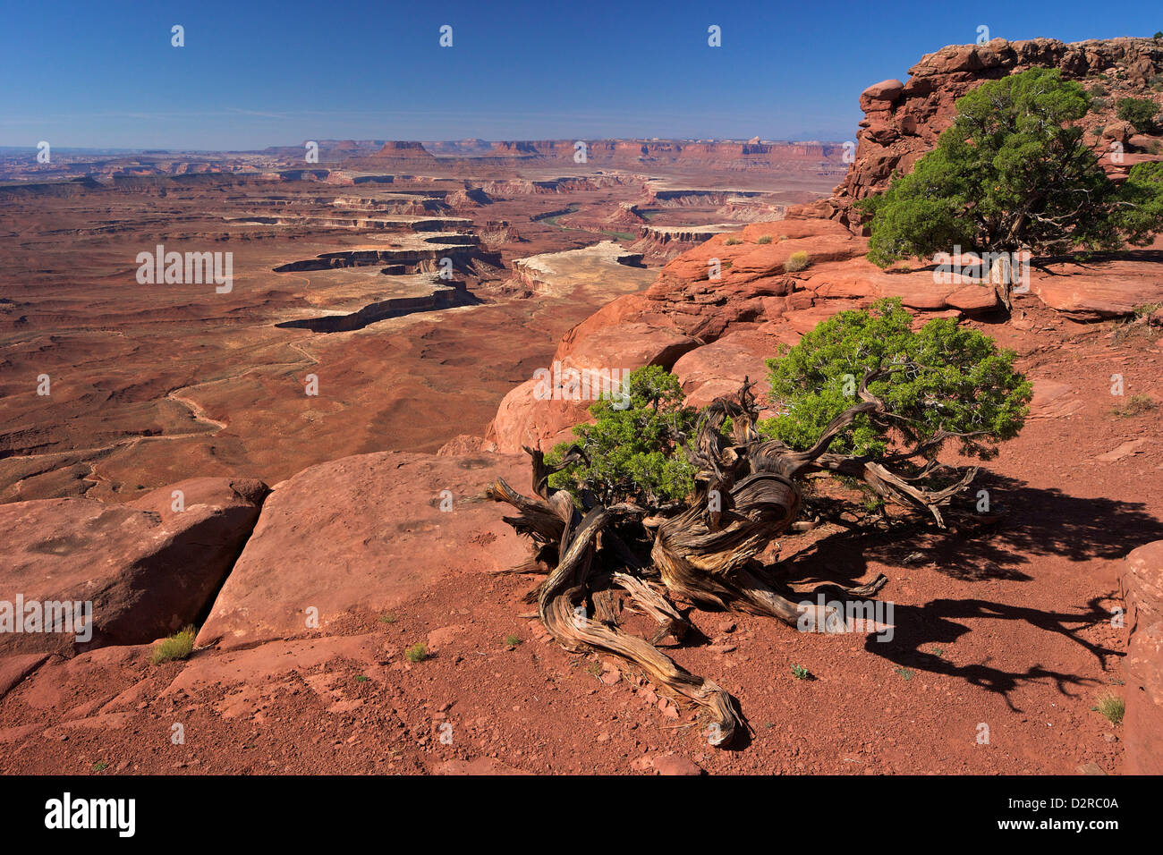 Green River Overlook, Canyonlands National Park, Utah, United States of America, North America Stock Photo