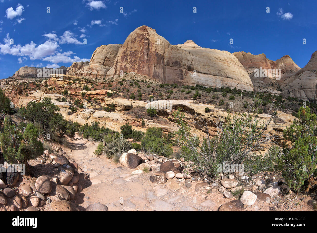 Hickman Bridge Trail, Navajo Dome, Capitol Reef National Park, Utah, United States of America