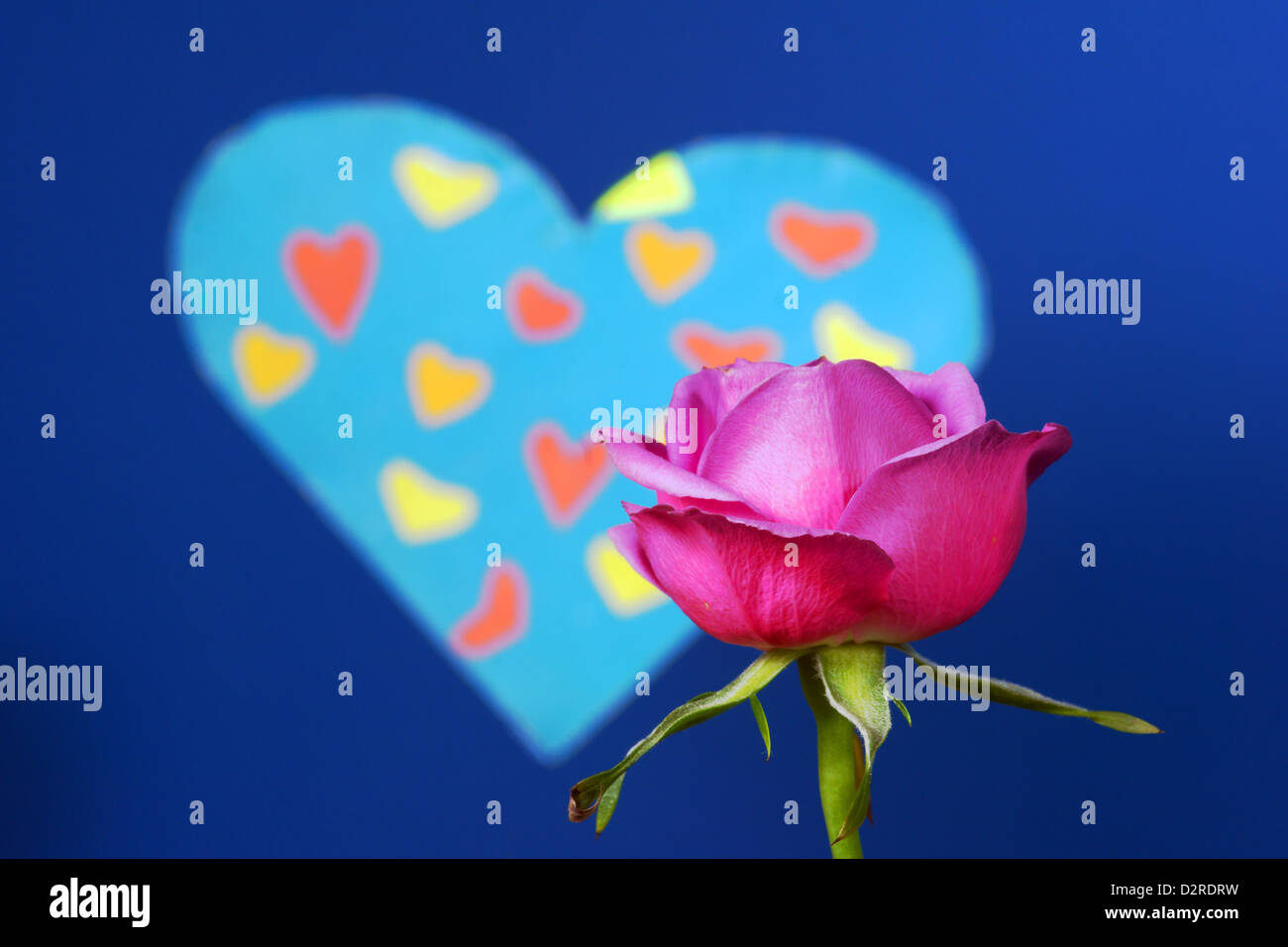 red rose and heart on Valentine's Day Stock Photo - Alamy