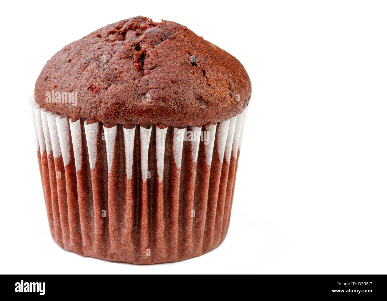 Chocolate muffin on a white background Stock Photo