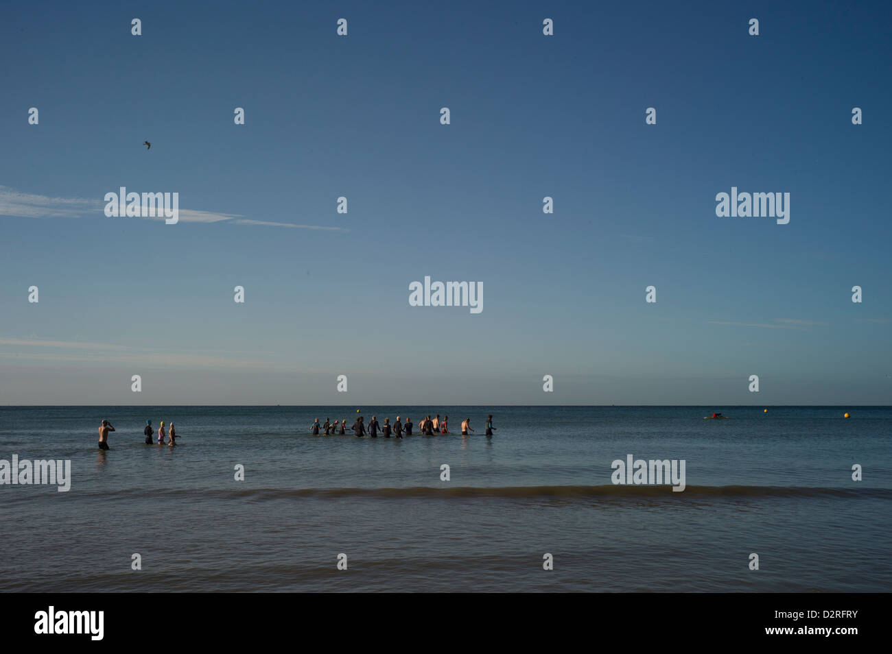 Lifeguards training, early morning, Brighton, UK Stock Photo