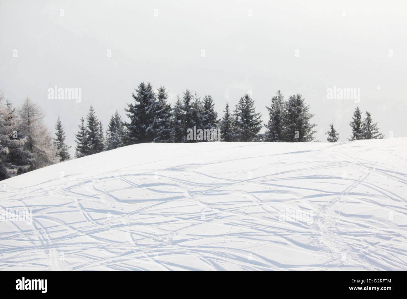 ski traces on snow Stock Photo - Alamy