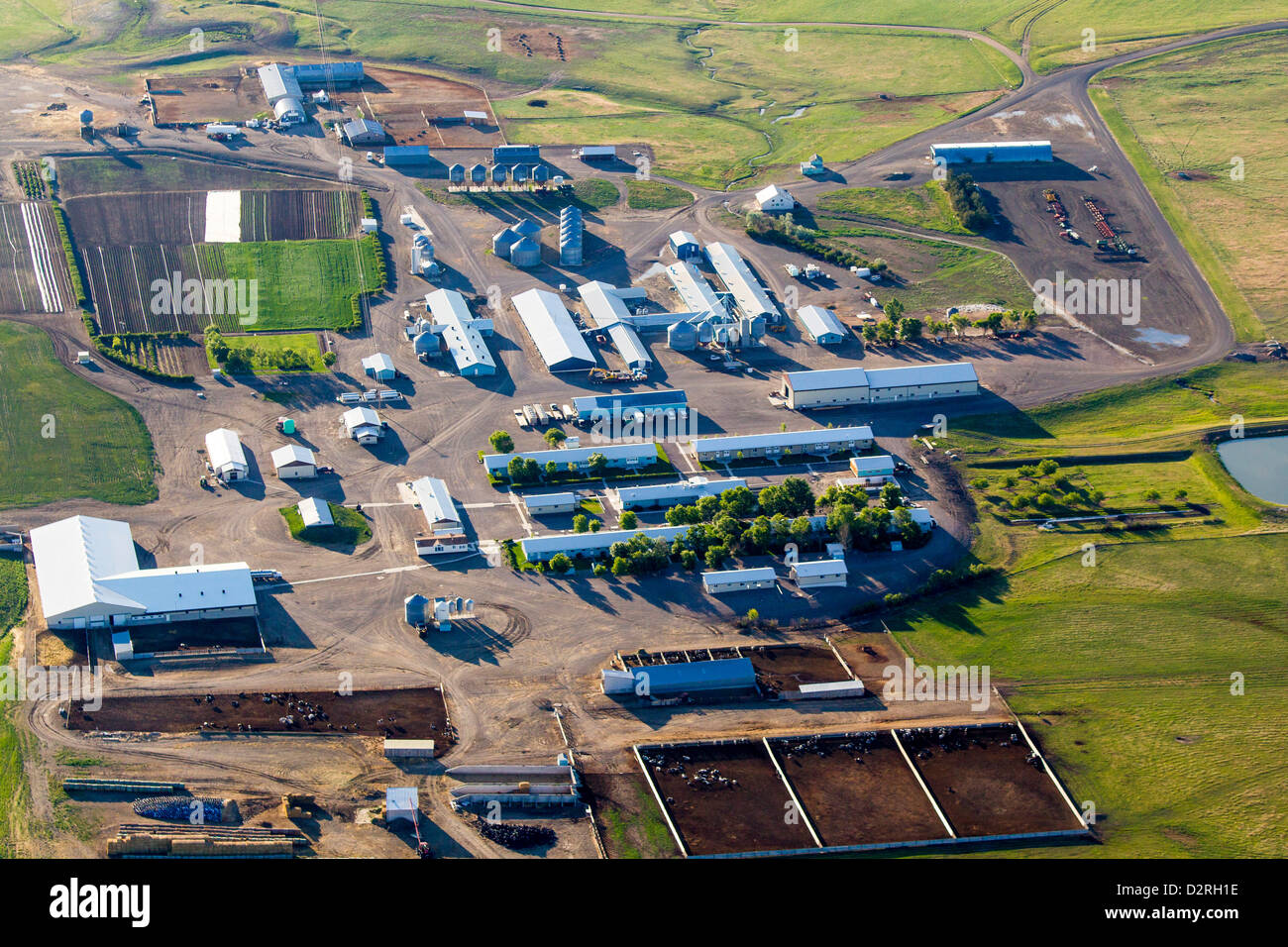 Aerial Of A Hutterite Colony In Cascade County Montana Usa D2RH1E 