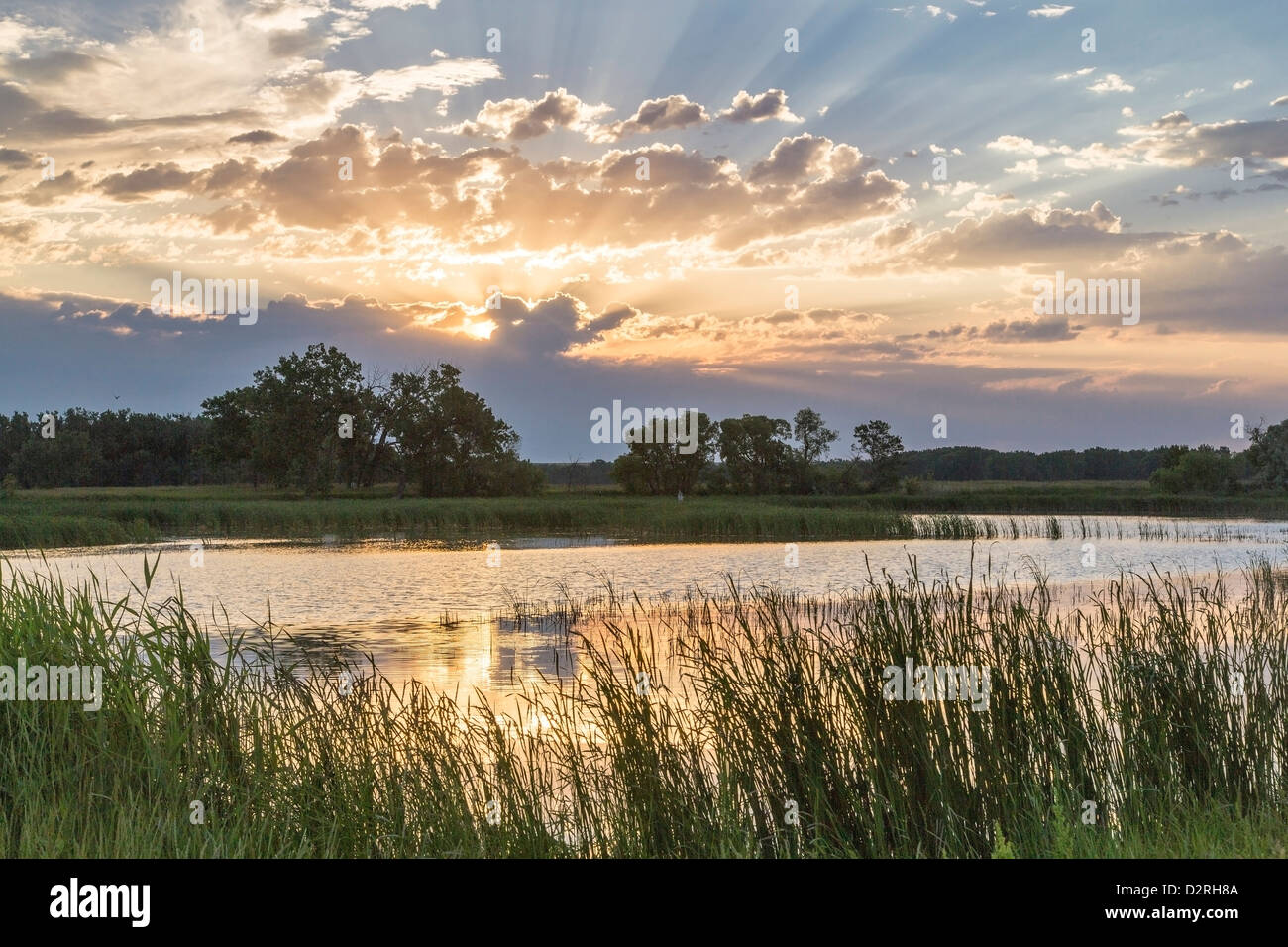 Tampico hires stock photography and images Alamy