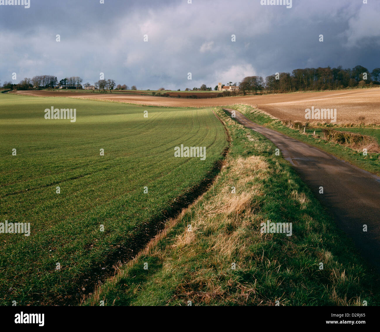 Winter downland landscape with road between arable fields, south of Farnborough, Berkshire, England, UK Stock Photo