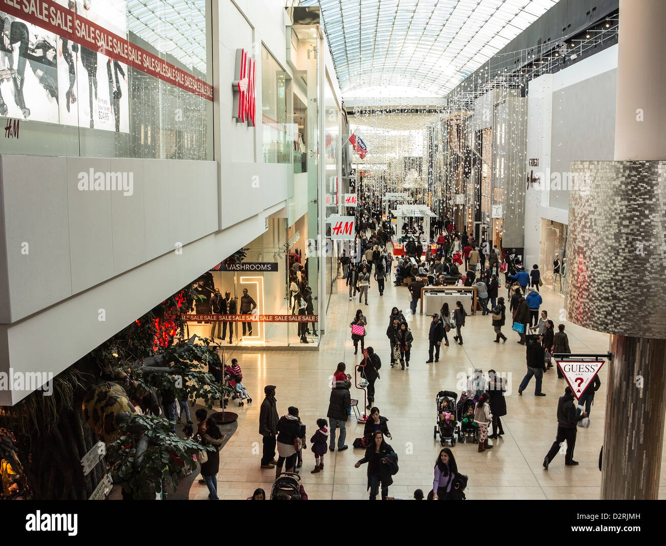 guess yorkdale number