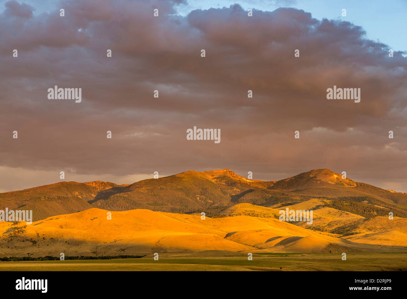 The Tobacco Root Mountains at sunrise near Ennis, Montana, USA Stock Photo Alamy