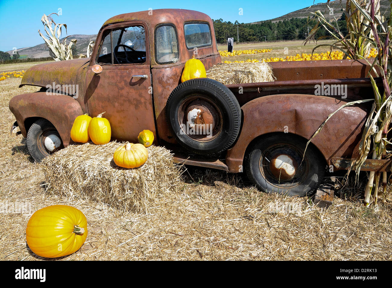 Old Truck in Pumpkin Patch Stock Photo