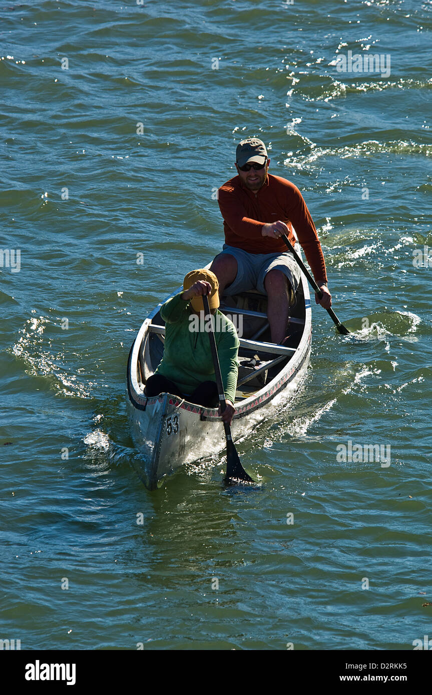 Man and woman paddling a canoe on Lady Bird Lake, Austin Texas Stock