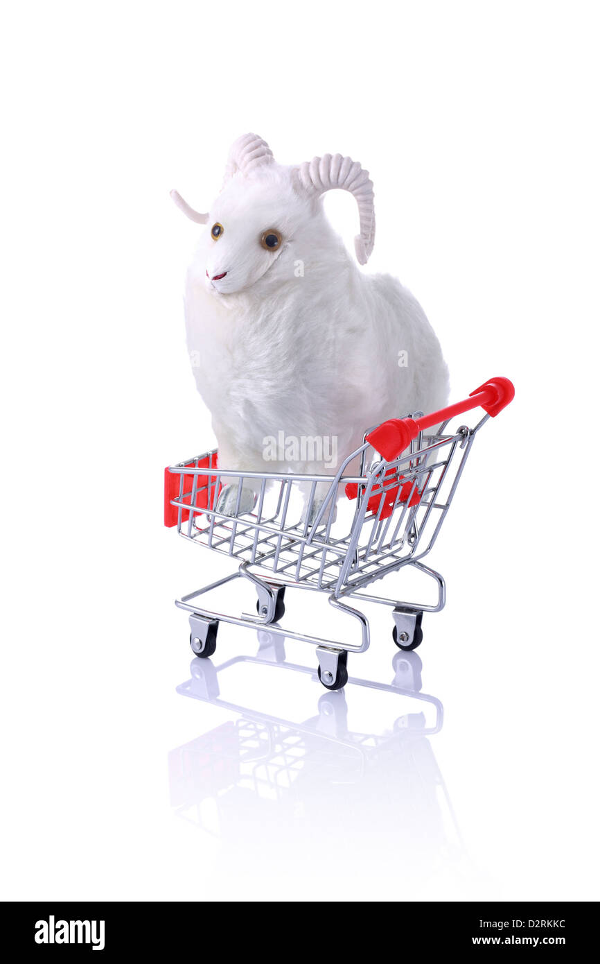 Model ram in shopping cart isolated on white. Shopping for the Feast of Sacrifice Series Stock Photo