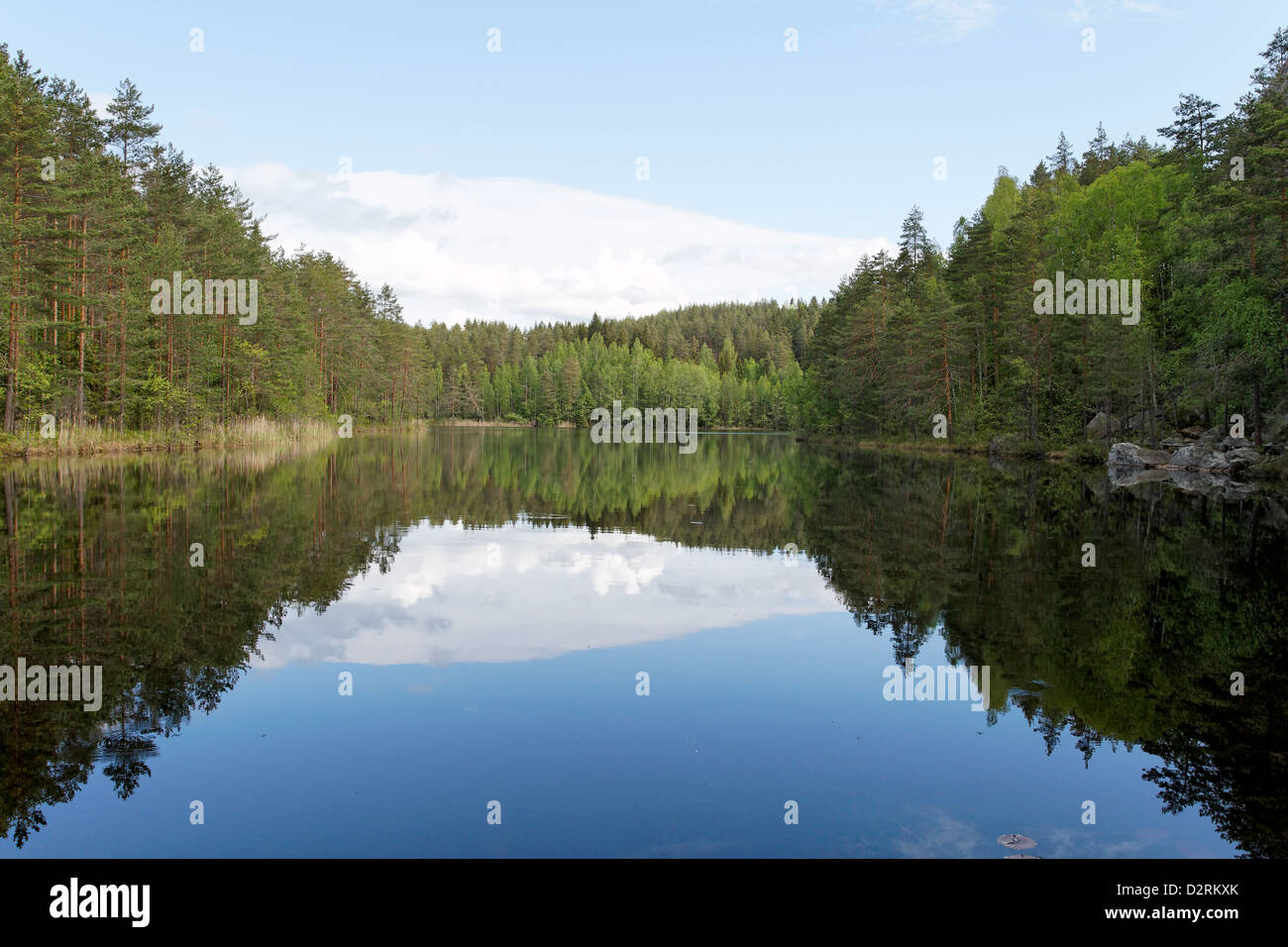 Repovesi Repovesi national park hi-res stock photography and images - Alamy
