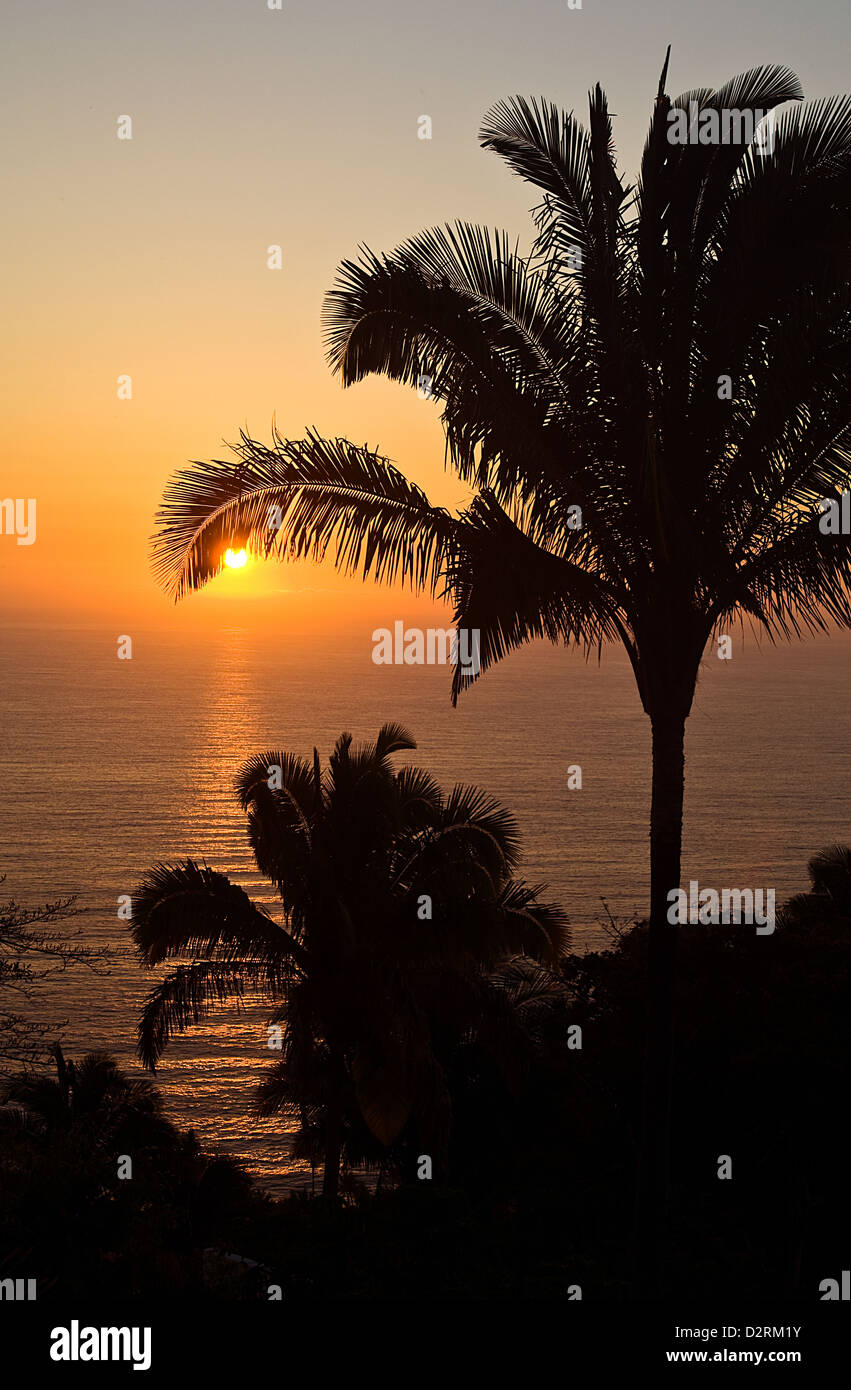 Pacific Ocean sunset through palm trees at Puerto Vallarta Mexico Stock Photo