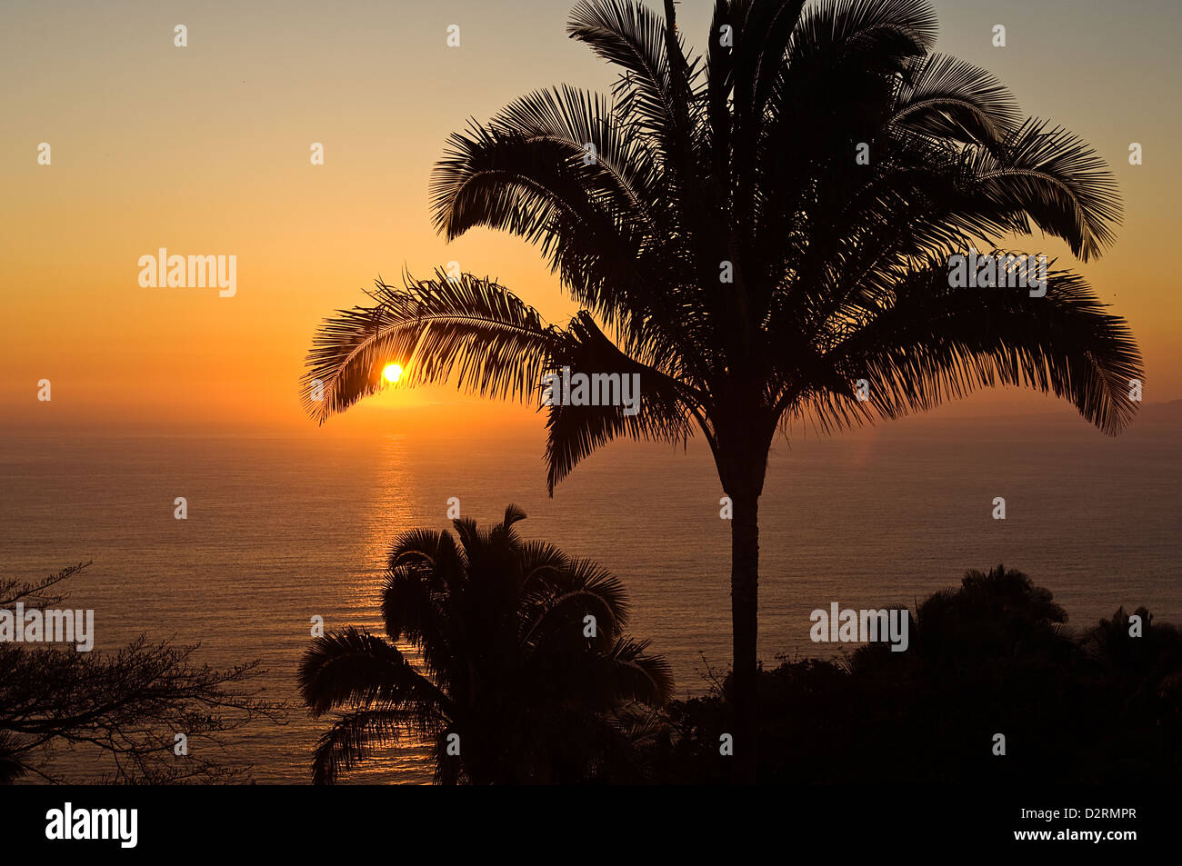 Pacific Ocean sunset through palm trees at Puerto Vallarta Mexico Stock Photo