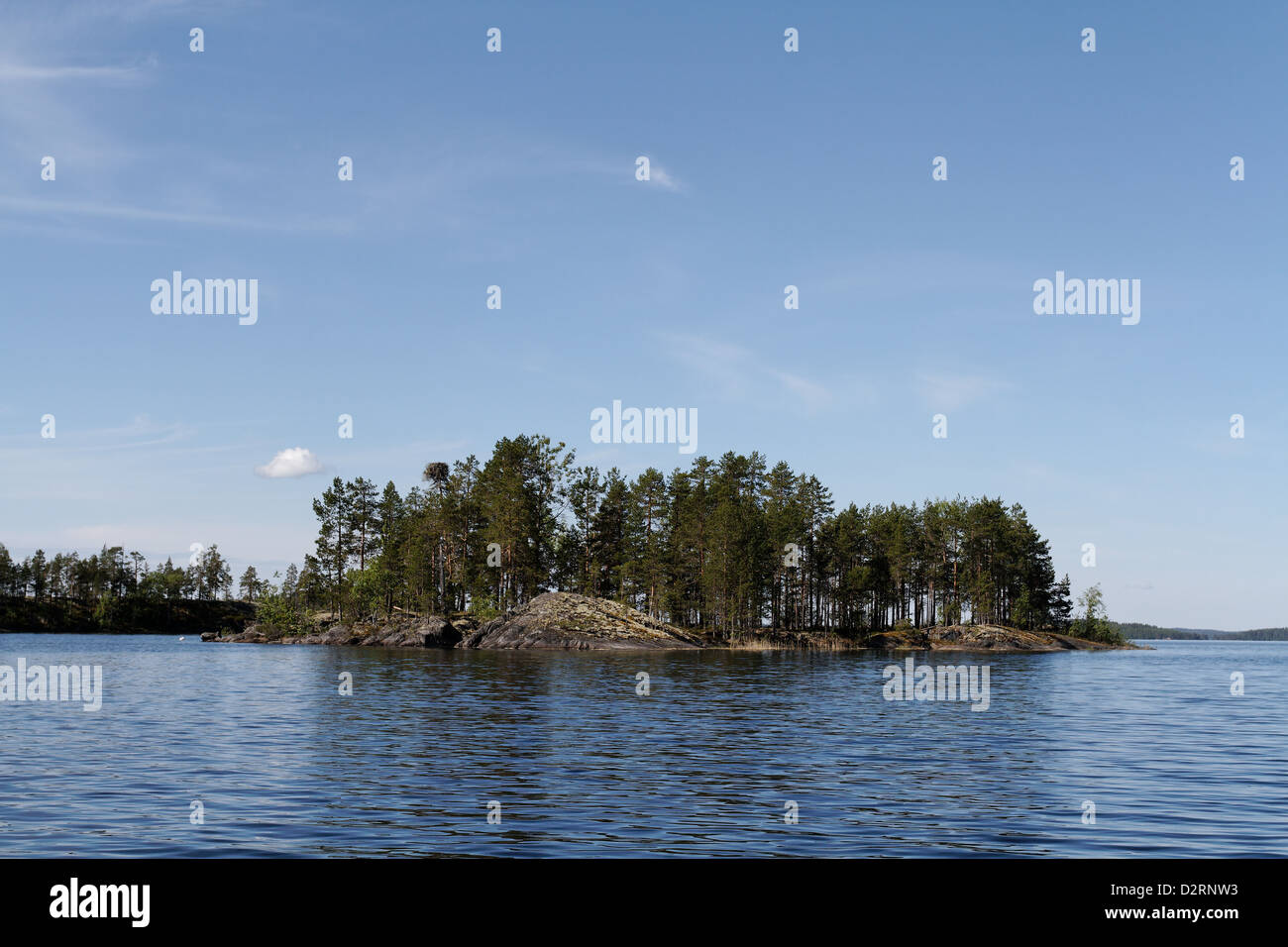 Osprey nest on island in Linnansaari National Park, Finland Stock Photo