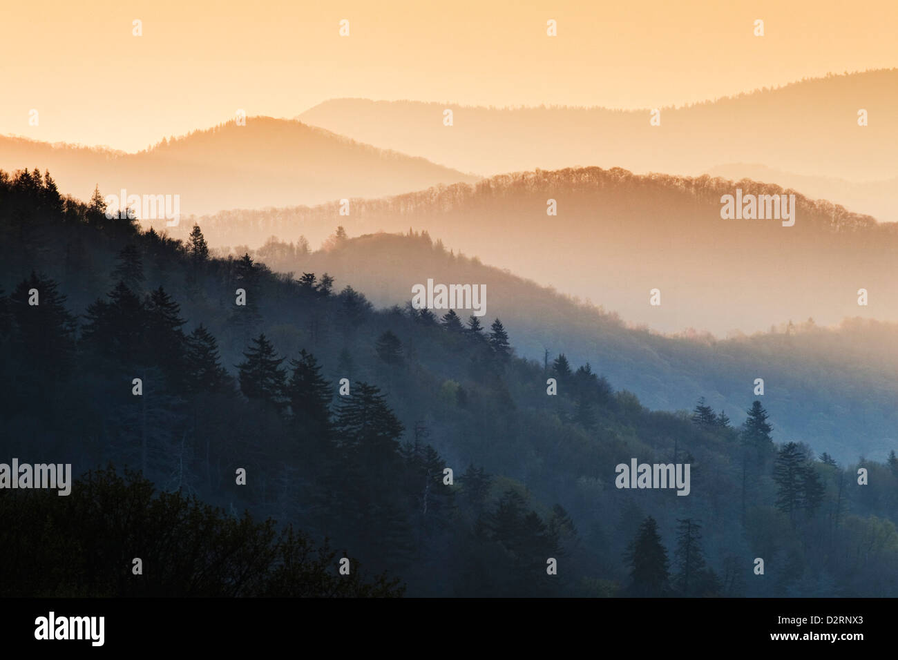 USA, North Carolina. Sunrise view from the Oconaluftee Overlook in the Great Smoky Mountains National Park. Stock Photo