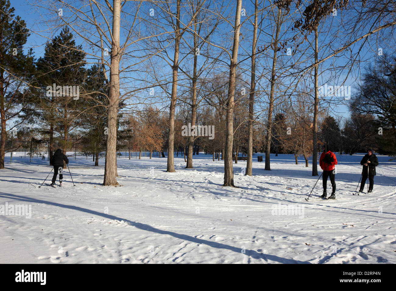 people cross country skiing in kinsmen park Saskatoon Saskatchewan Canada Stock Photo