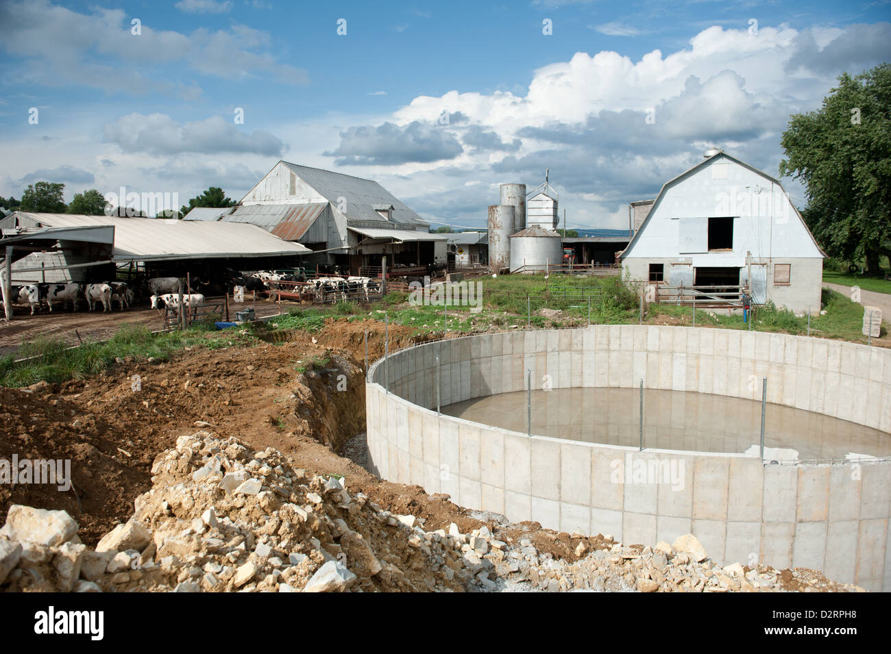 Dairy cows in barn and waste treatment structure on a farm Stock Photo