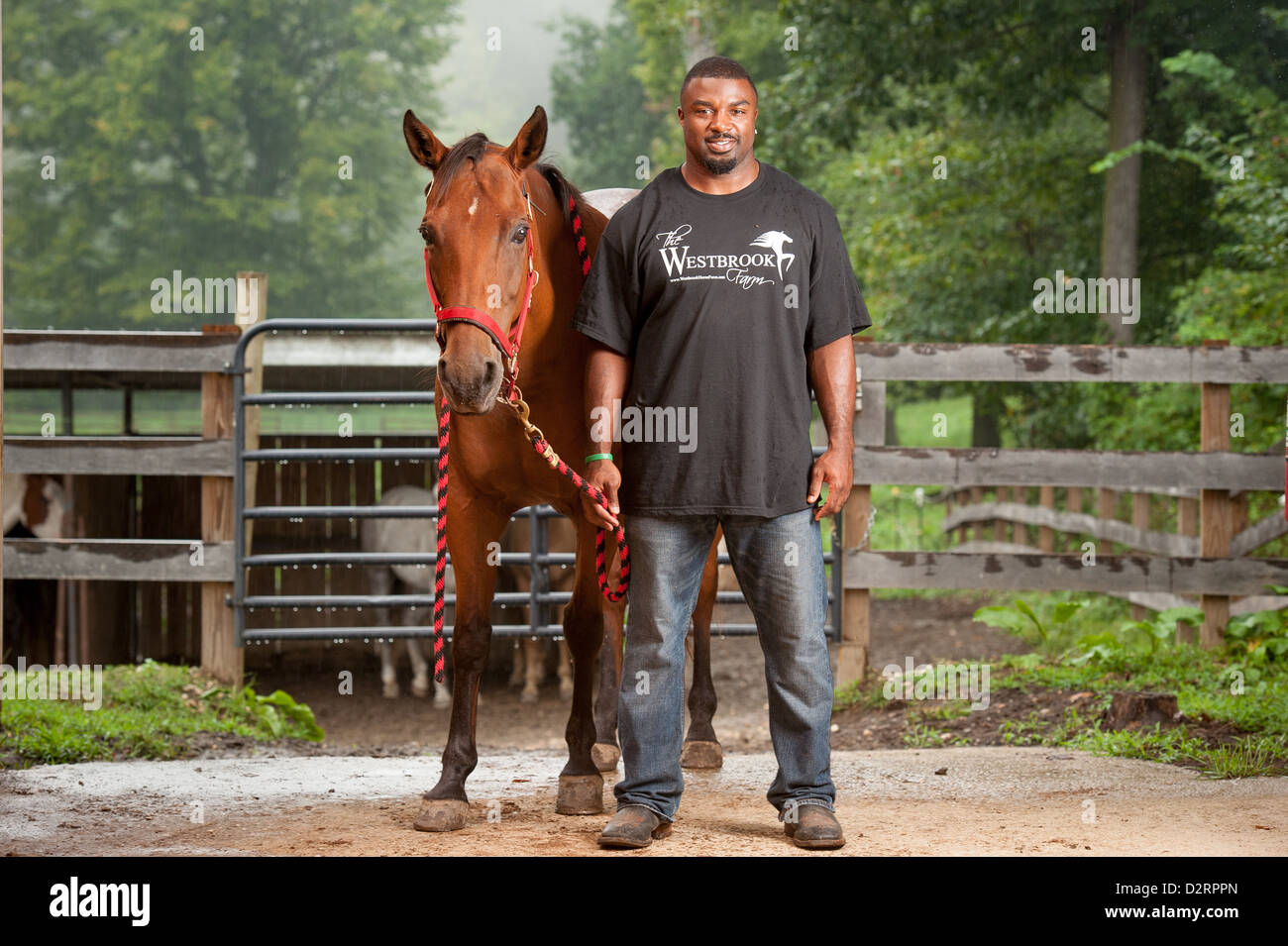 Brian Westbrook, former NFL Player and horse owner with horse in stable  Stock Photo