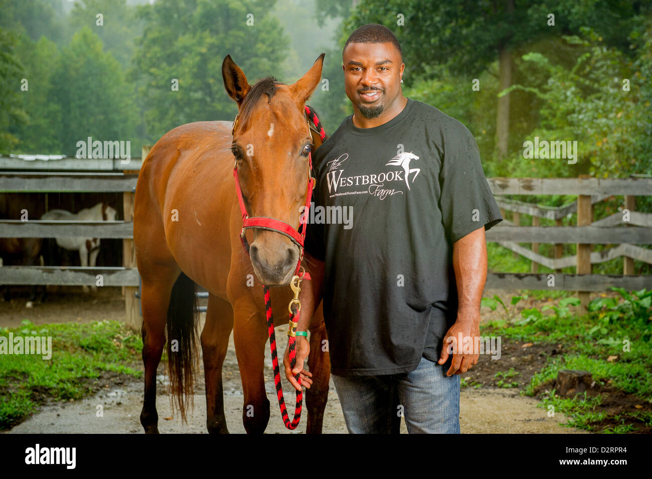 Brian Westbrook, former NFL Player and horse owner with horse in stable  Stock Photo
