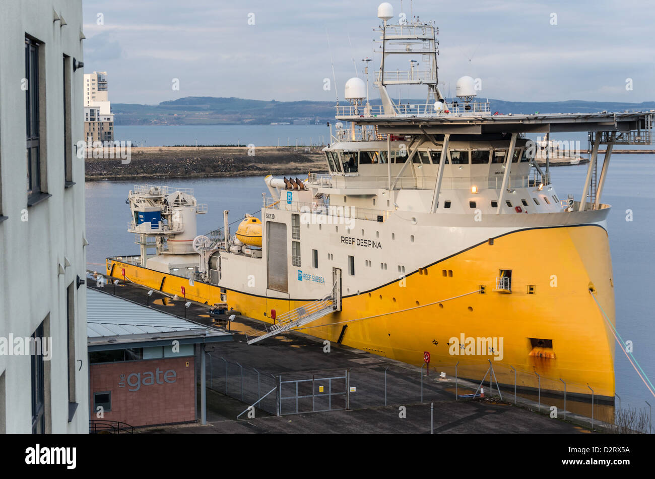 Reef Despina - North Sea oil multi purpose support vessel built 2011. In port, Leith, Scotland, January 2013. Stock Photo