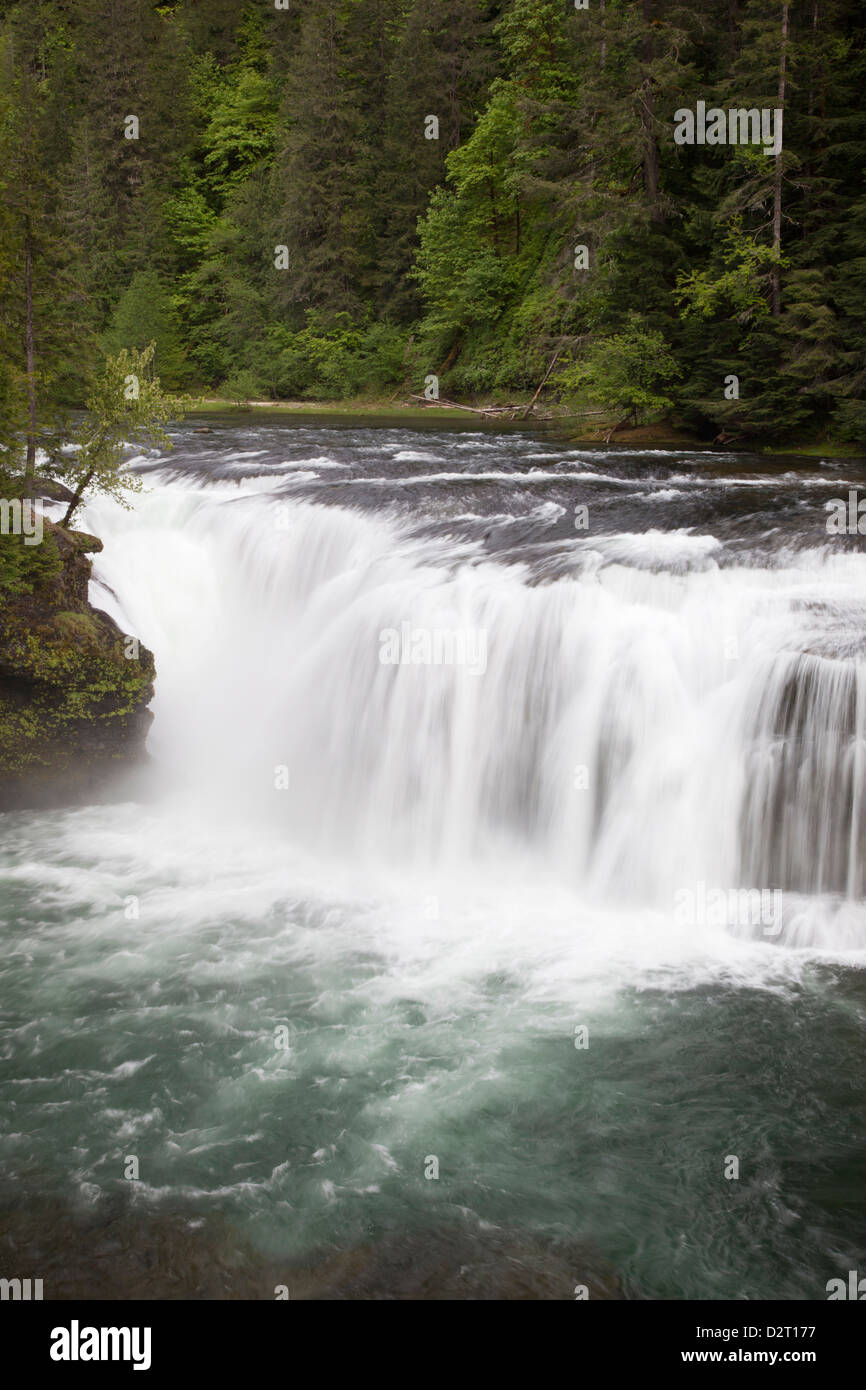 WA, Gifford Pinchot National Forest, Lower Lewis Falls, Lewis River ...
