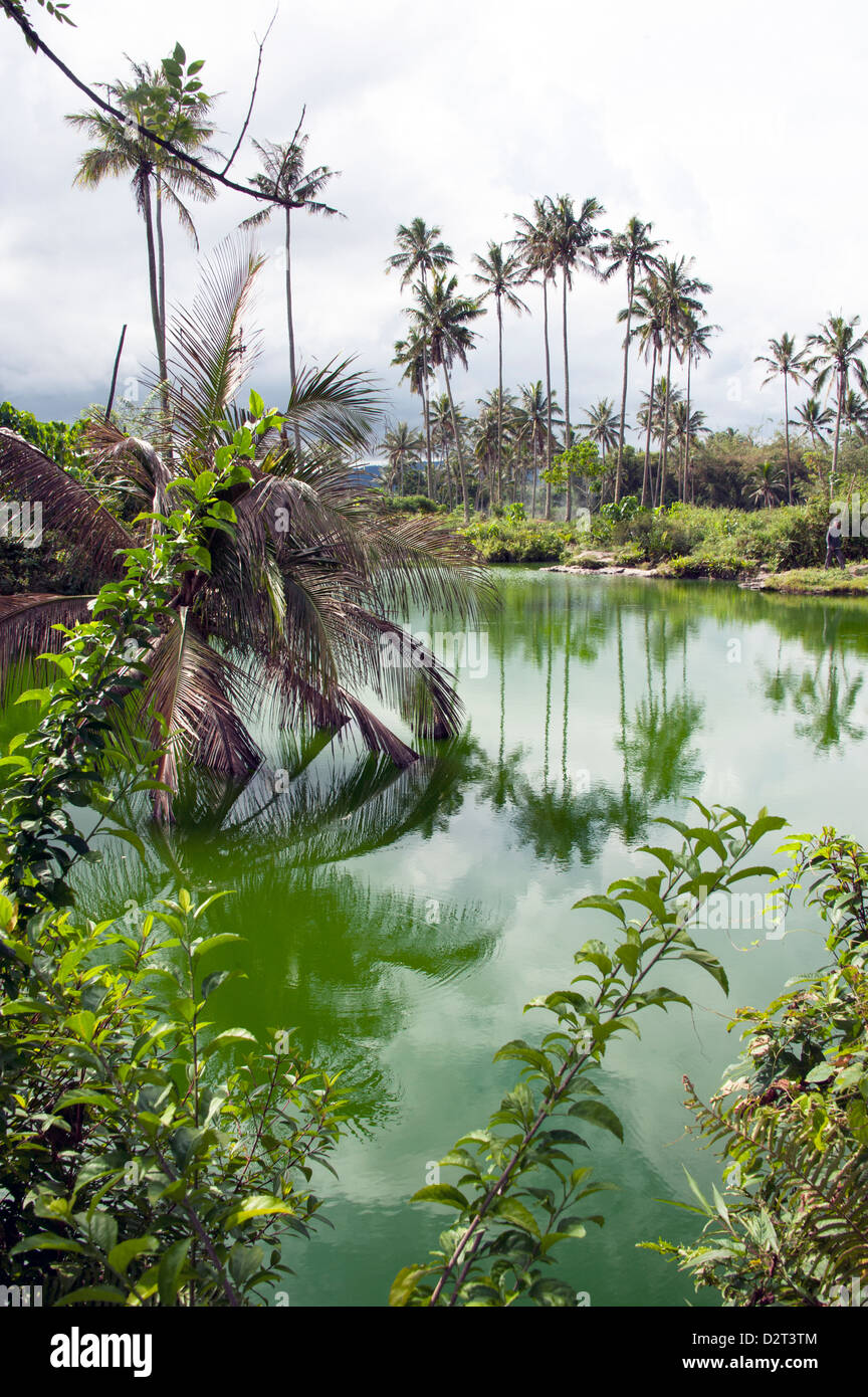 Hot spring pool, Sulawesi, Indonesia, Southeast Asia, Asia Stock Photo
