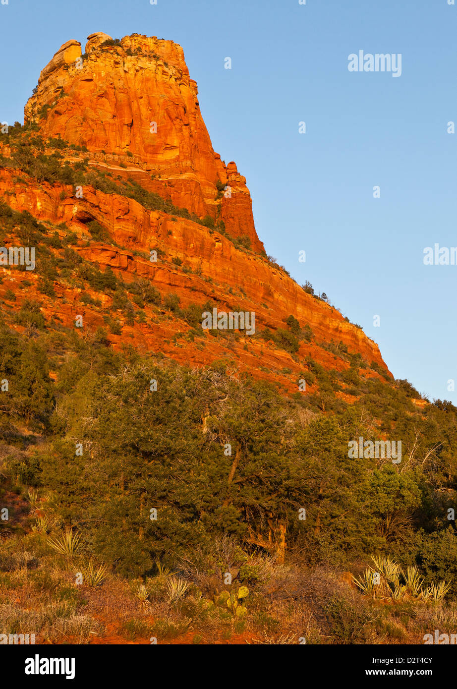 Typical view of West Sedona in evening sunlight in Arizona USA Stock