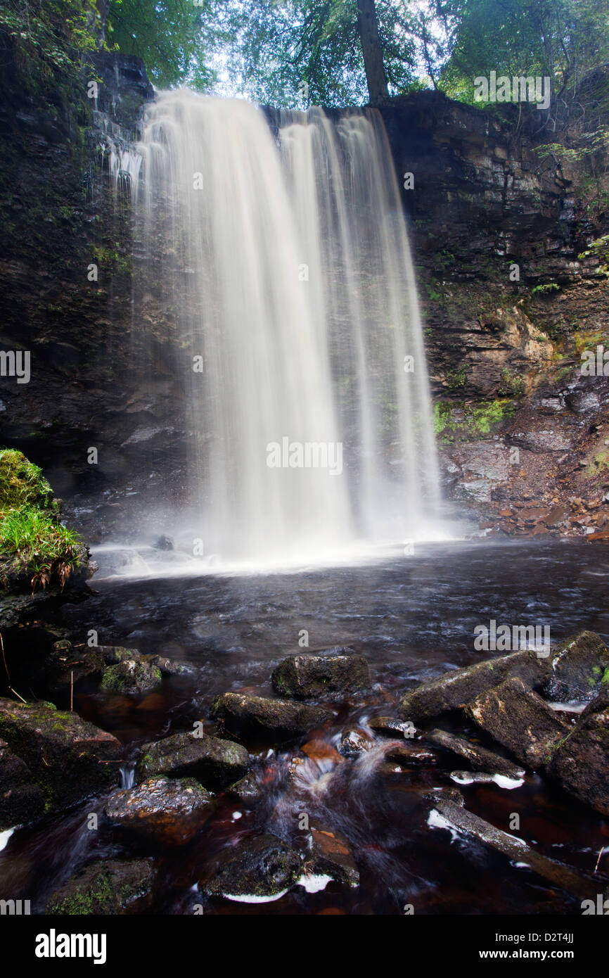 Whitfield Gill Force near Askrigg, Wensleydale, North Yorkshire, Yorkshire, England, United Kingdom, Europe Stock Photo