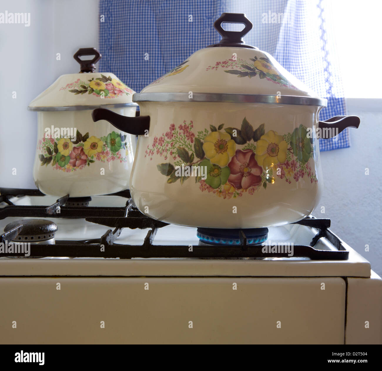 https://c8.alamy.com/comp/D2T504/retro-vintage-kitchen-with-pots-pans-with-porcelain-flowers-D2T504.jpg