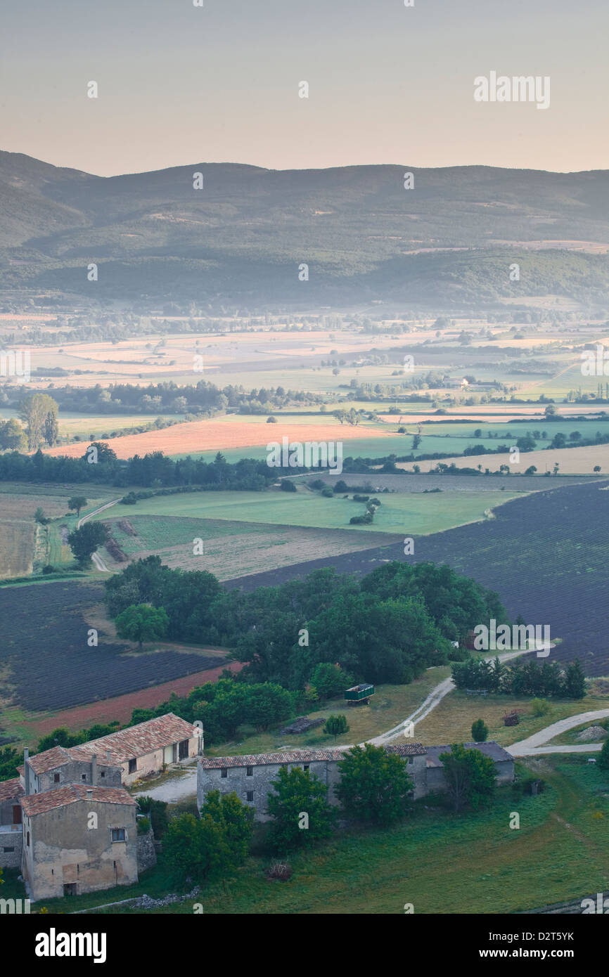 Lavender fields near Sault, Vaucluse, Provence, France, Europe Stock Photo