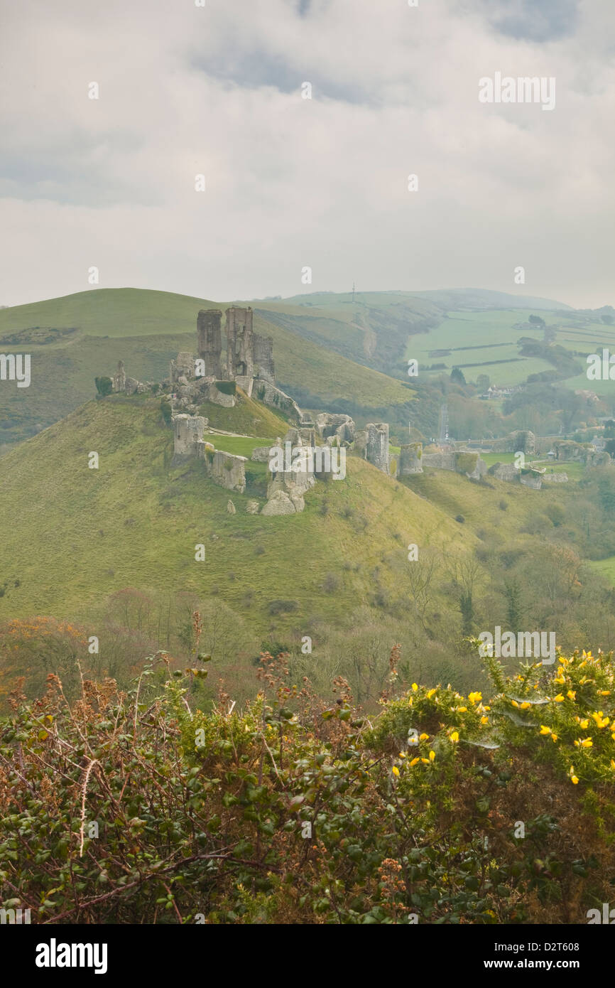 The ruins of Corfe Castle, Dorset, England, United Kingdom, Europe Stock Photo