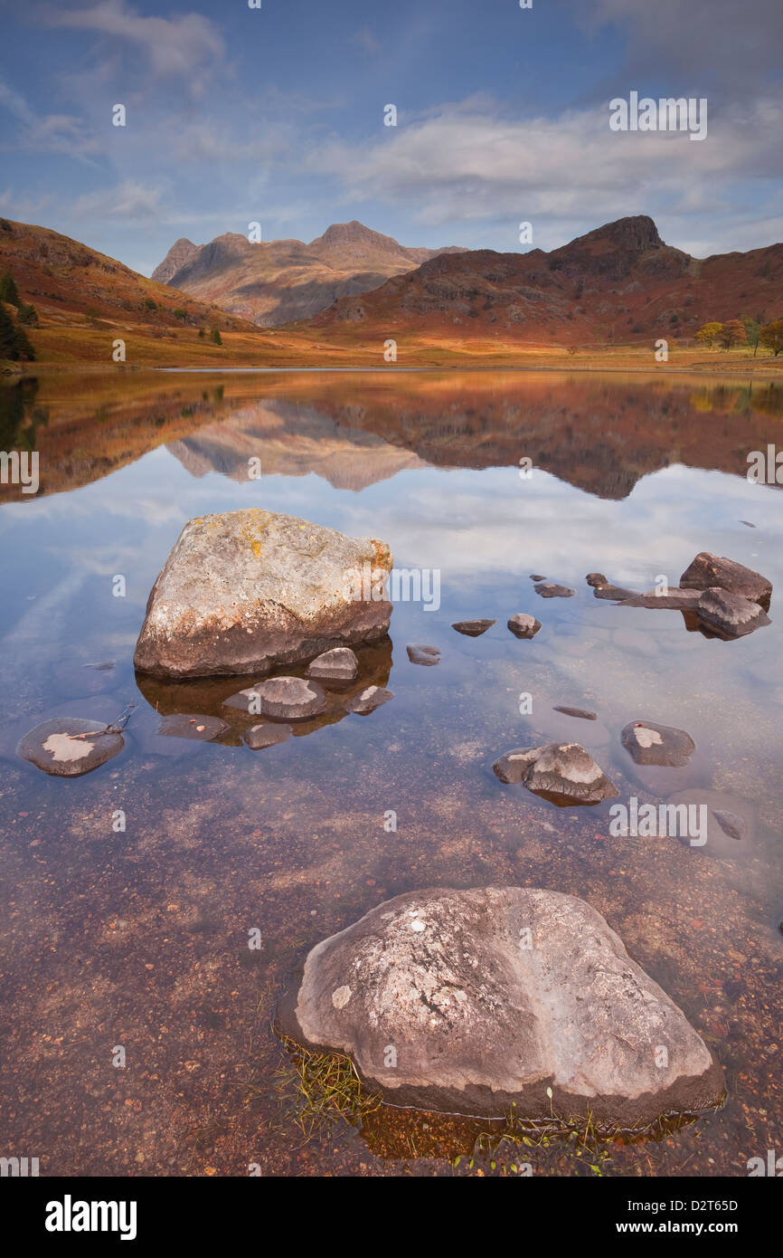 Blea Tarn and the Langdale Pikes in the Lake District National Park, Cumbria, England, United Kingdom, Europe Stock Photo