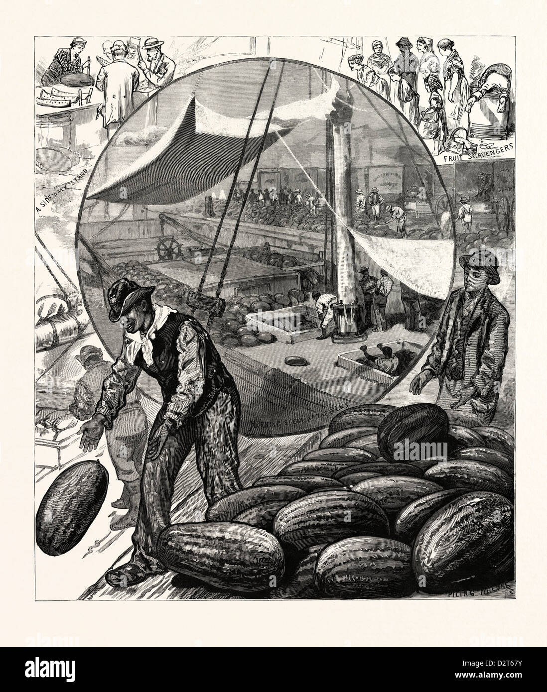 NEW YORK INCIDENTS OF THE WATERMELON TRADE IN THE METROPOLIS, U.S