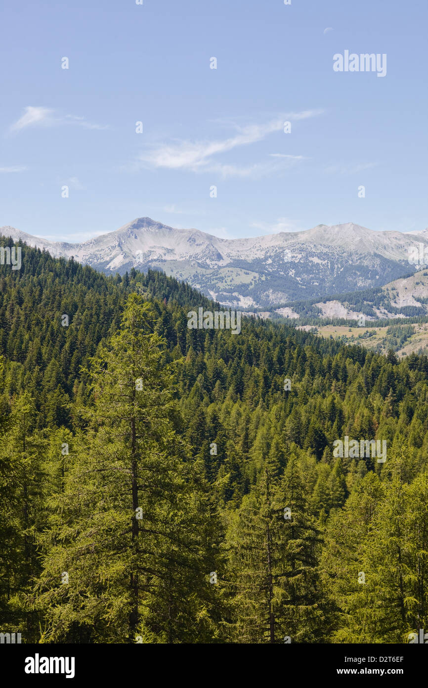 The southern Alps in the Parc National du Mercantour near Allos, Alpes-de-Haute-Provence, Provence, France, Europe Stock Photo