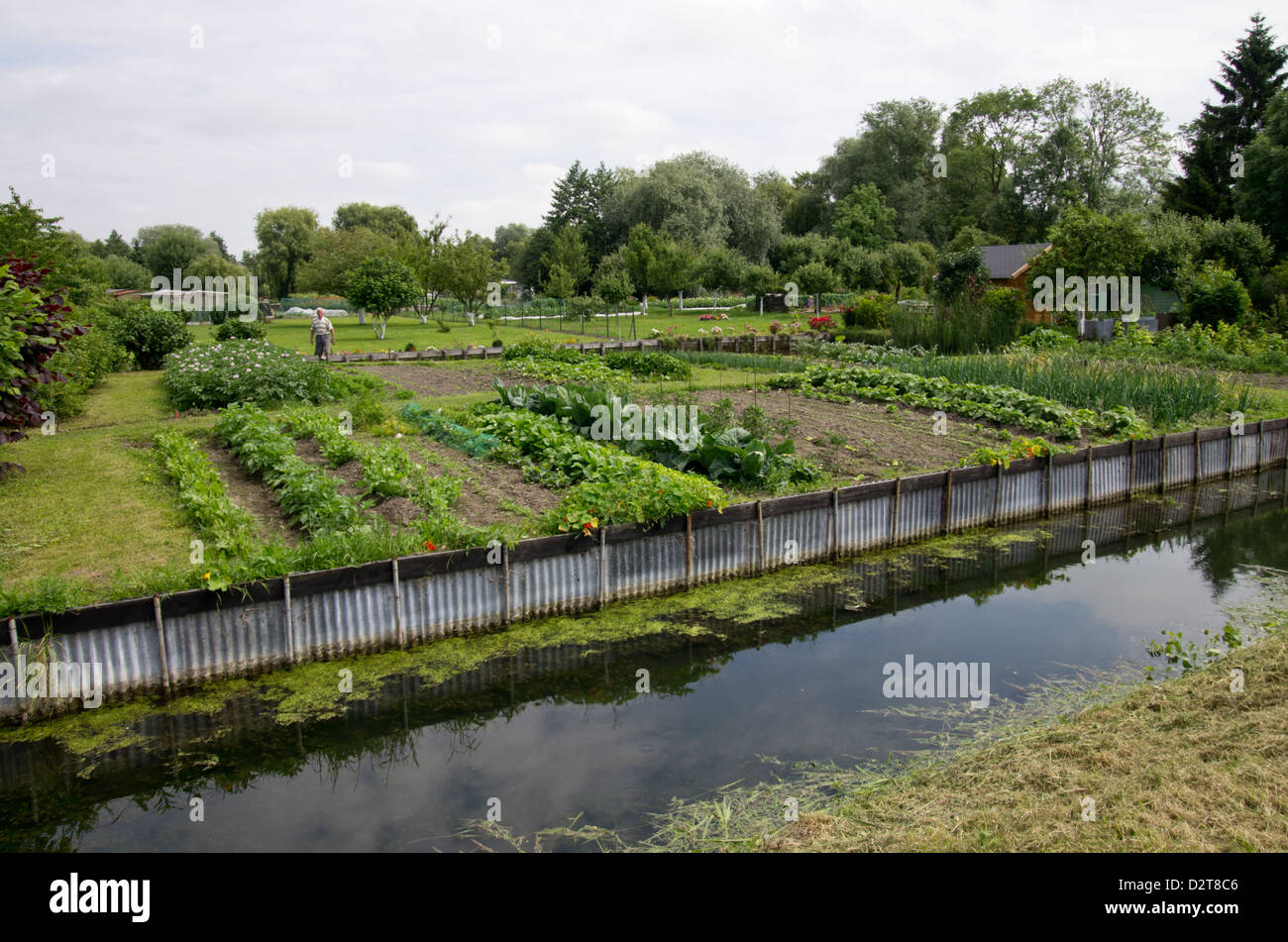 Hortillonnages vegetable garden Amiens Stock Photo