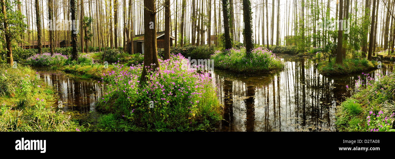 Breathtaking panoramic view of countryside holiday chalet surrounded by trees and natural plant, Hangzhou Westlake, China. Stock Photo