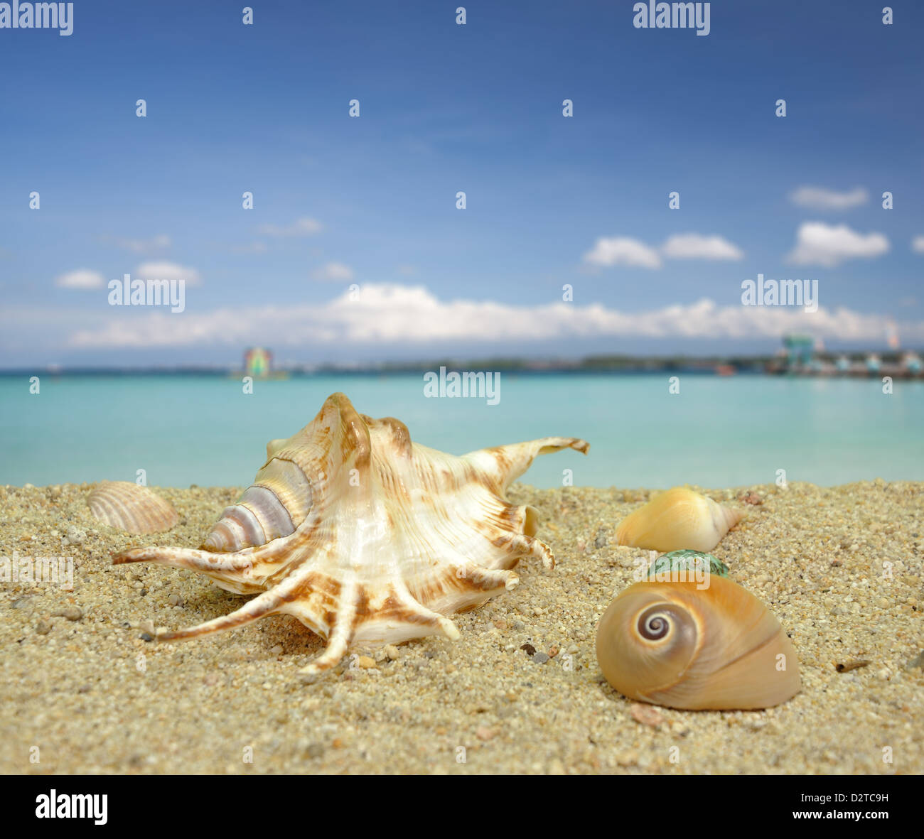 My Image 10