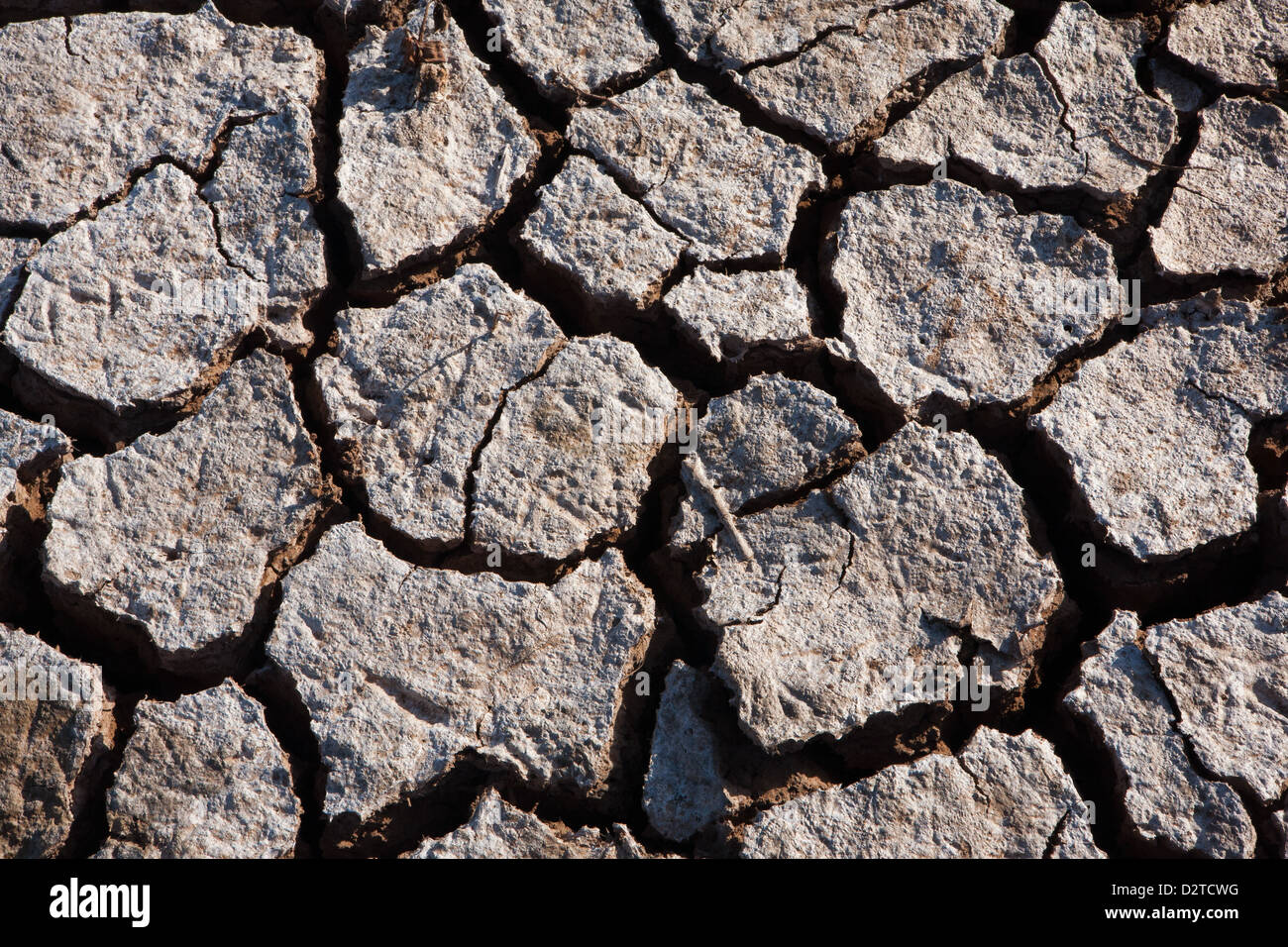 Cracked earth in Sarigua national park (desert), Herrera province, Republic of Panama. Stock Photo