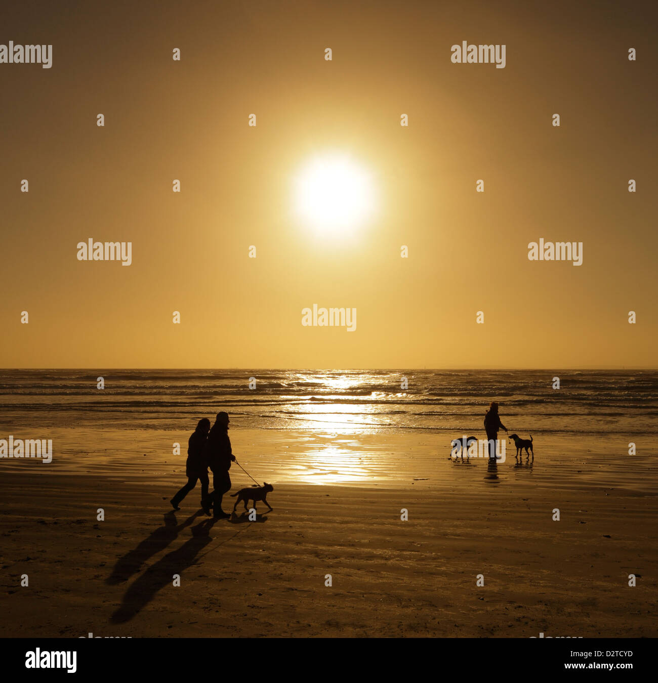 Dog walkers on beach. Stock Photo