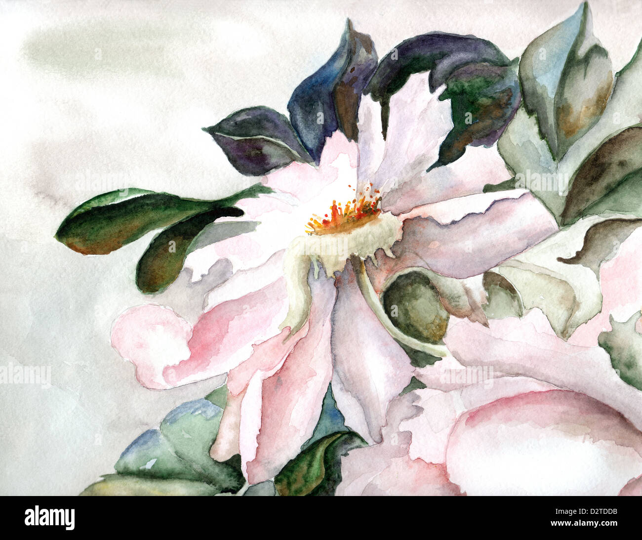 grunge background with a flower Stock Photo - Alamy