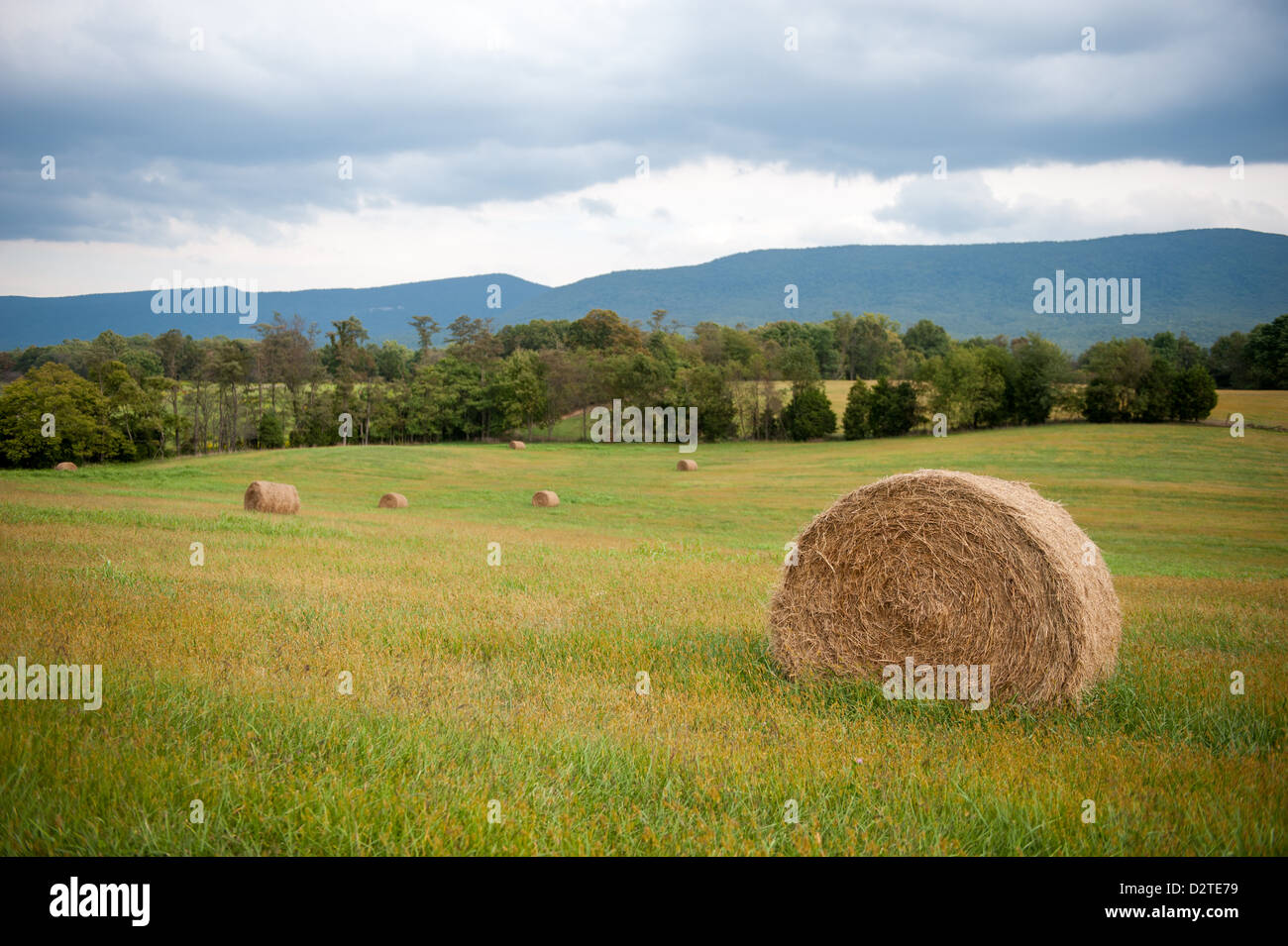 Country pasture in Middleburg VA Stock Photo Alamy