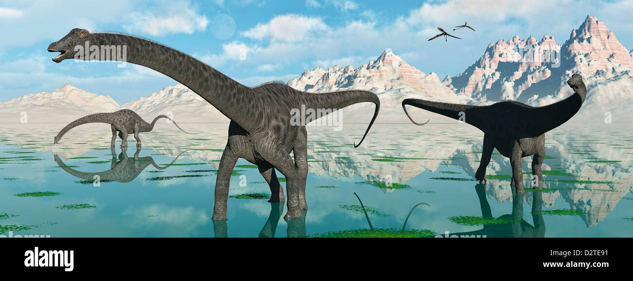 Diplodocus Sauropod Dinosaurs. Stock Photo